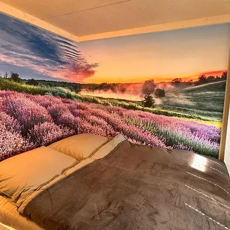 Tiny Haus Park Feriehus