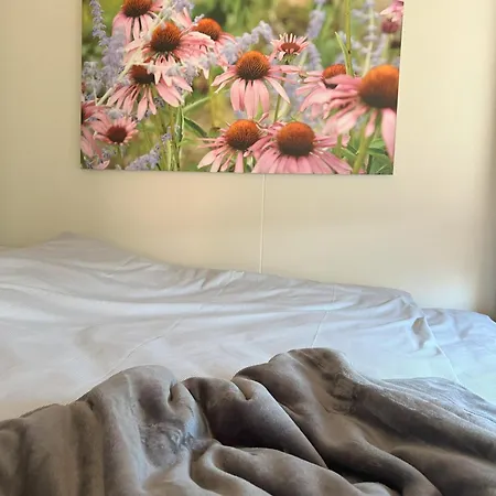 Tiny Haus Park Hébergement de vacances