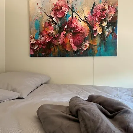 Tiny Haus Park Hébergement de vacances *