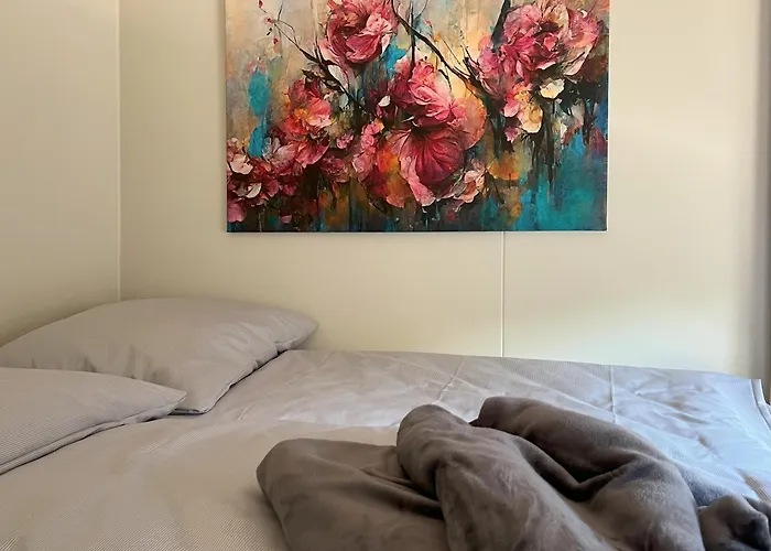 Tiny Haus Park Tatil Evi *